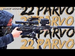 22 PARVO | WILDCAT WEDNESDAY New Cartridge Review