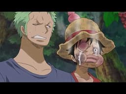Don't say the word Ninja! || One Piece (Dub)