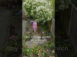 My cottage garden on a budget (one year progress)