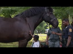 Portsmouth Mounted Patrol Unit faces challenges with resources