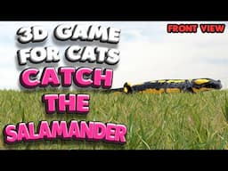 3D game for cats | Catch the salamander (front view) | 4K, 60 fps, stereo sound