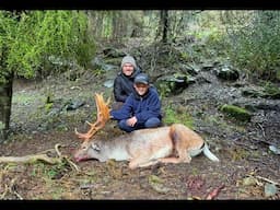 Fallow Buck Rut - New Zealand