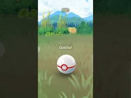 Shiny Heracross Encounter/Le rencontre d'Heracross Shiny!