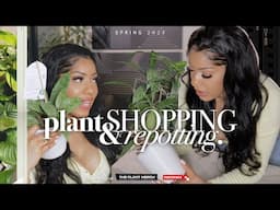 Spring 2025 Shopping at Home Depot for Low Maintenance Indoor Plants | Repot With Me! 🫶