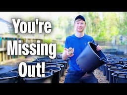 Planting Your Potatoes This Way Gives Massive Harvests! | Gardening For Beginners