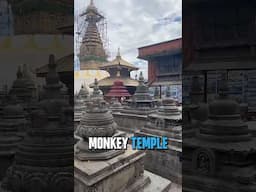 Be careful of the aggressive Monkey’s at this tourist attraction!
