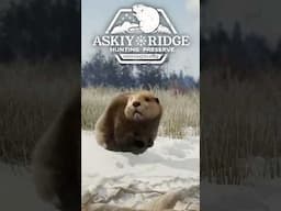Askiy Ridge Release Date + NEW Species! | theHunter Call Of The Wild #risky #thehuntercotw #cotw