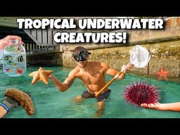 I FOUND TONS Of SALTWATER CREATURES!!