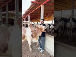 Cocomo❤️ vlog on my channel