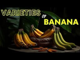Different Varieties of Banana / Weird Bananas You've Never Heard Of