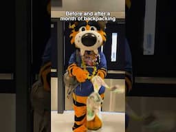 Sabretooth is a changed cat 😌 #backpacking #mascot #sabretooth