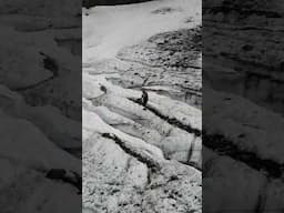 Glacier Burn - the closest bit of ice to the road in NZ #glacier #queenstown #bryantgalcier #ice