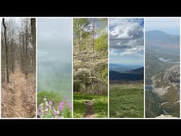 EARTH DAY SPECIAL: Changes in Nature Along the Appalachian Trail