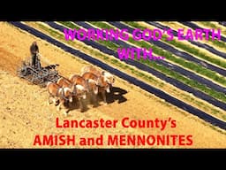The PLAIN PEOPLE of Lancaster County...AMISH and MENNONITE  Completing Spring Field Work