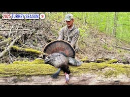 Big Longbeard Came Out of Nowhere - Hardwood Ridge and Hollow Hunting