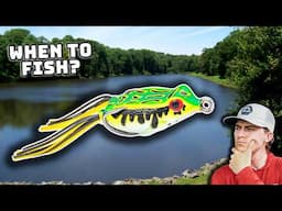 WHEN To Fish A Topwater Frog For Bass! (AND When NOT TO)