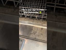 This is your SIGN to clean your dishwasher. 🤢