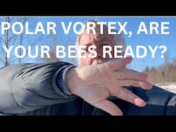 Polar Vortex, are your bees ready?