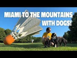 Ultimate Dog Road Trip Across America! | FL to CO Pet Transportation Vlog