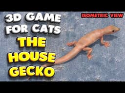 3D game for cats | The house gecko (isometric view) | 4K, 60 fps, stereo sound