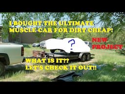 I bought the most desirable/popular/ultimate Muscle Car for dirt cheap! Let's check it out!