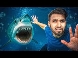 THERE'S A SHARK IN MY SWIMMING POOL