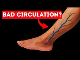 The ONLY 5 Vitamins You NEED to Improve Leg Circulation