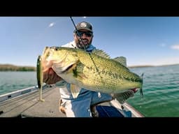 Early Summer Bass Fishing Tricks! (Incredible Swimbait Fishing!)