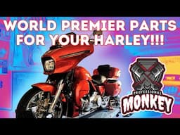 WORLD PREMIER Harley Parts! New Removable Lowers For Street Glides!