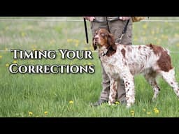 Importance of Timing Corrections For Heel Training