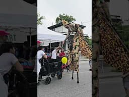Ottawa Italian Festival 🇮🇹📍Little Italy