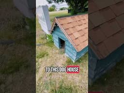 A Geocache In A Dog House?! 🐕 🏠 #geocaching #geocache