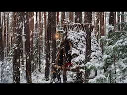 BUSHCRAFT. BUILDING A LOG SHELTER FOR SURVIVAL. A HEAVY SNOWFALL CAUGHT ME OUT AT NIGHT!