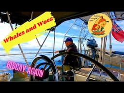 Sailing back across Biscay: Whales & Woes! #82