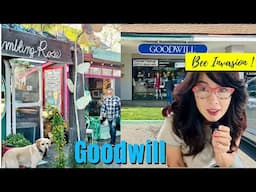 Garden ART ideas Upcycling Goodwill Bargains into Beautiful Garden decor & Bumble Bee invasion