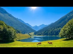 Music to Calm Down, Stop Thinking 🌼 Music to Help Sleep Well, Reduce Stress, Anxiety, Relax