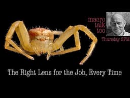 The Right Lens for the Job -  Macro Talk Too #138 - 4/17/25