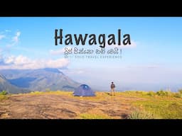 Trip පිස්සො Solo Travel චැනල් එකක් වෙයි 😱 | Solo hiking to Hawagala mountain |  TRIP PISSO