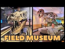 The Most Complete T-Rex Skeleton in the World! VANLIFE CHICAGO