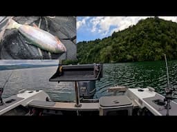 Trout Fishing at a Beautiful Lake