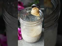Vegan Grapeseed Oil Mayo Recipe