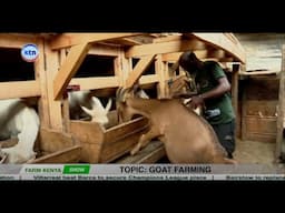 🐐 Goat Farming 101  How to Start and Profit! From Scratch