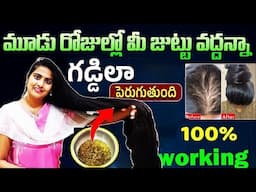 🔥2 సార్లు అంతే ఎంత పలచగా ఉన్న జుట్టు కూడా దట్టంగా మందంగా పొడవుగా పెరుగుతుంది వెంటనే ట్రై చేయండి