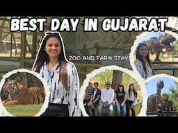 Best of Gujarat Trip - a Beautiful Farmstay near Gandhi Nagar - Nature Park & Zoo visit