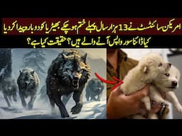 Scientists Claim Dire Wolf is Back – Here's What They’re Not Telling You !!
