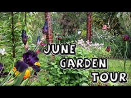June Garden Tour with Focus on Irises