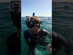 This Fish Stole My $1000 Spear - Island Survival
