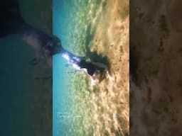 You're following a mermaid... but suddenly SHE is following YOU