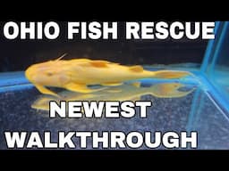 Best OHIO FISH RESCUE TOUR of everything going on