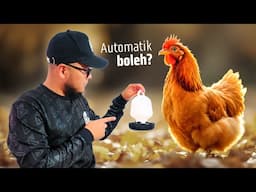 Buat Sistem Air Ayam Automatik | Baru senang nak jaga
